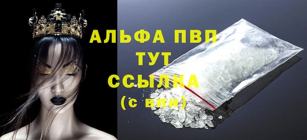 гидра Каменногорск