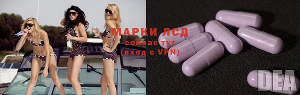 амф Инсар