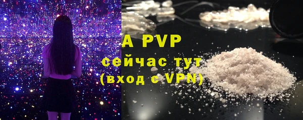 амф Инсар