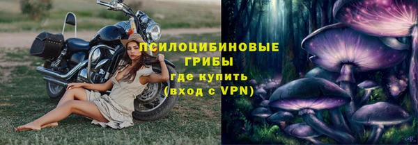 2c-b Инта