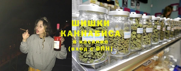 амф Инсар