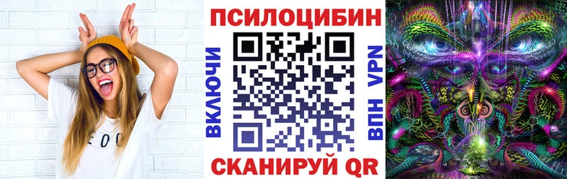 Псилоцибиновые грибы Psilocybine cubensis  Купить где  Амурск 